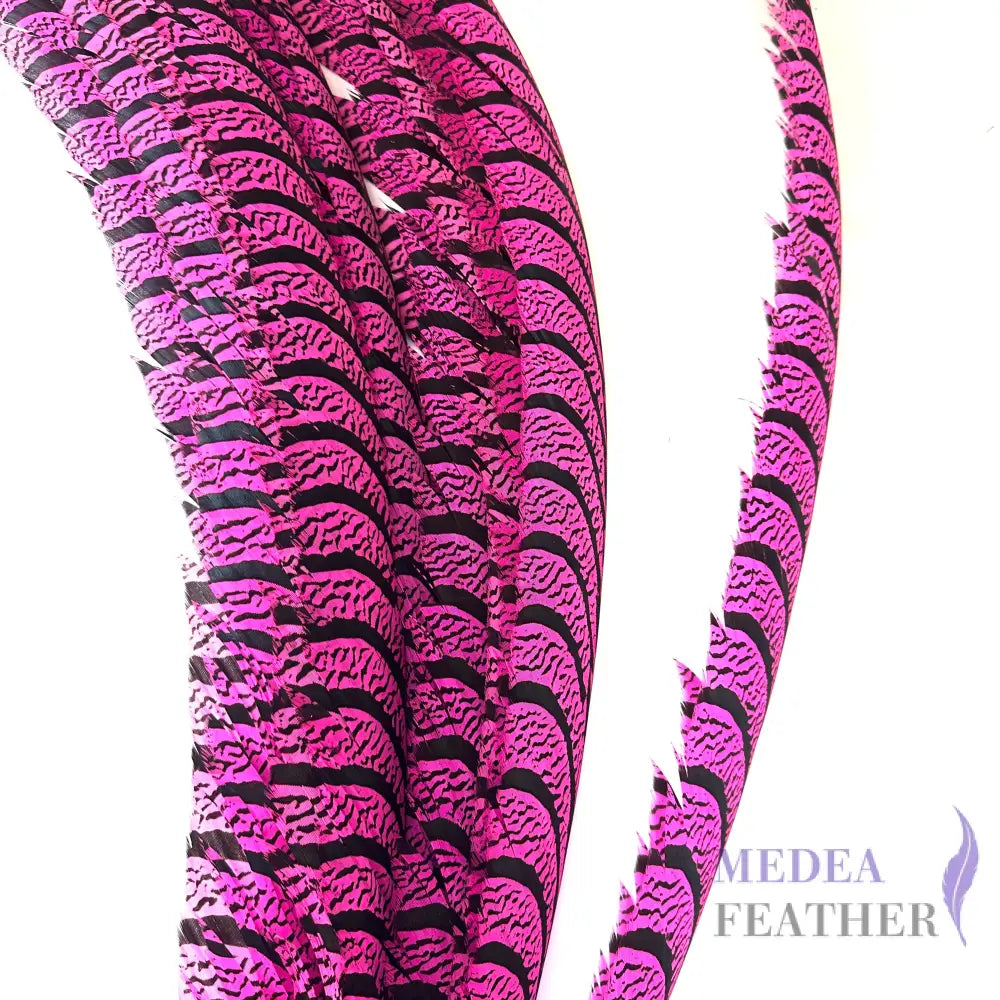 Multi-colour Lady Amherst Pheasant Tail Feather (70-75cm) SF028 Hot Pink / 1 Piece