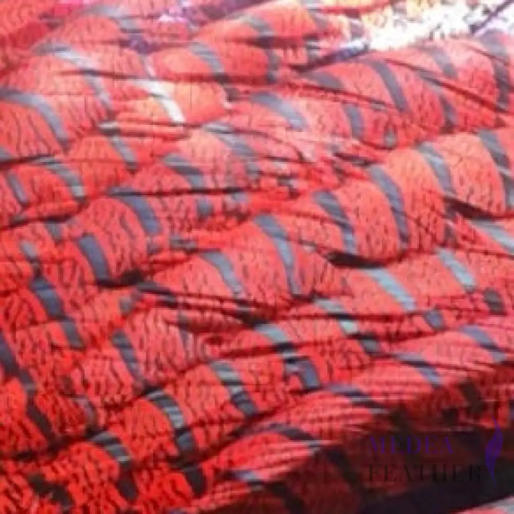 Multi-colour Lady Amherst Pheasant Tail Feather (80-90cm) Red / 1 Piece