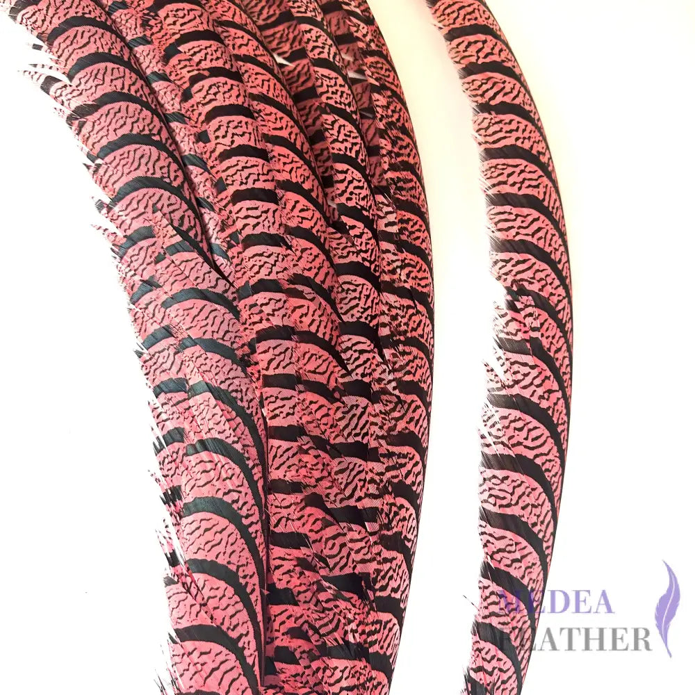 Multi-colour Lady Amherst Pheasant Tail Feather (70-75cm) SF028 Carol / 1 Piece