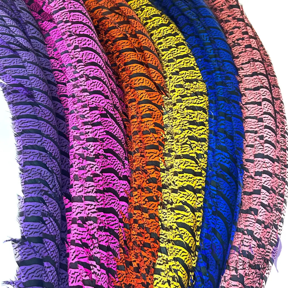 Multi-colour Lady Amherst Pheasant Tail Feather (70-75cm) SF028