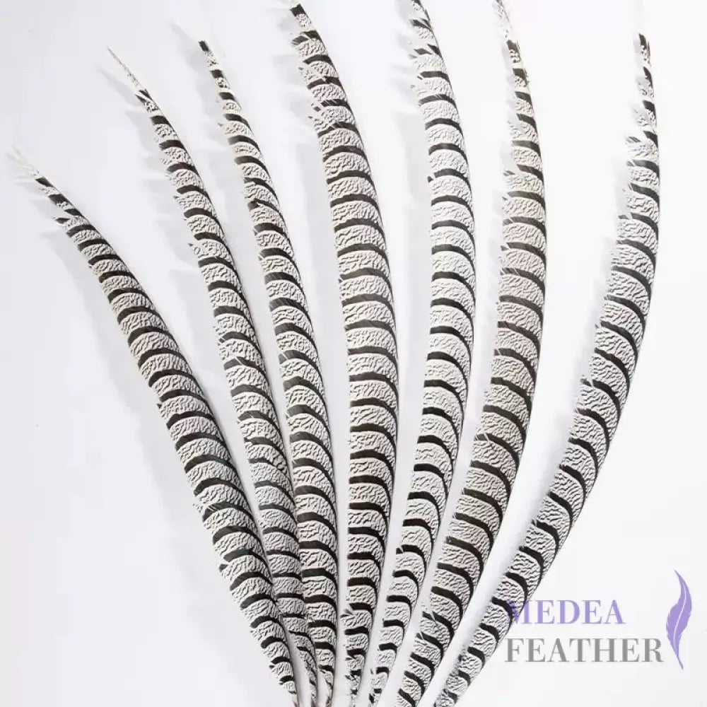Multi-colour Lady Amherst Pheasant Tail Feather (80-90cm)