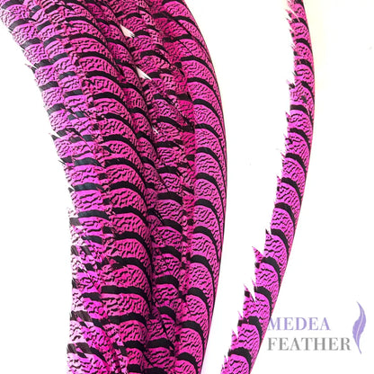 Multi-colour Lady Amherst Pheasant Tail Feather (70-75cm) SF028 Hot Pink / 1 Piece