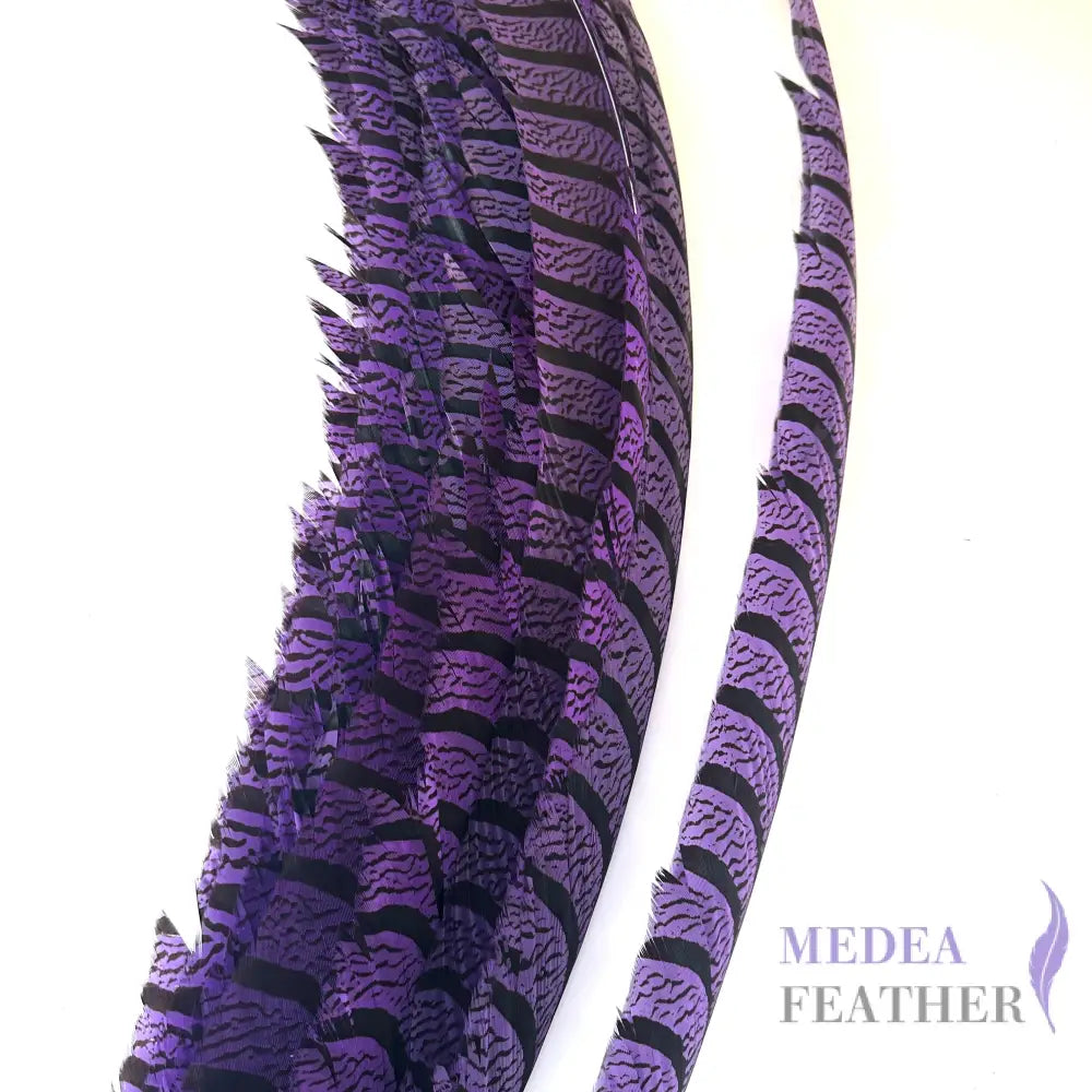 Multi-colour Lady Amherst Pheasant Tail Feather (70-75cm) SF028 Purple / 1 Piece