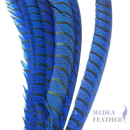 Multi-colour Lady Amherst Pheasant Tail Feather (70-75cm) SF028 Blue / 1 Piece