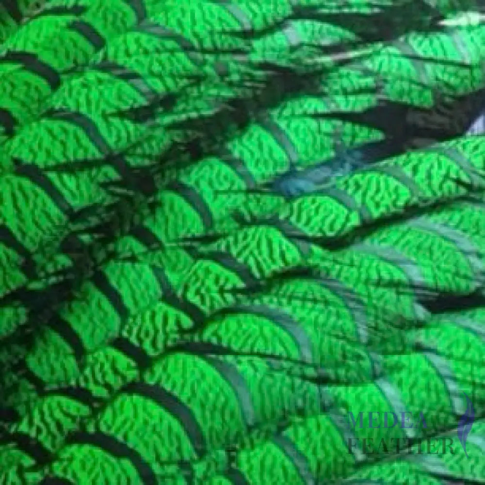 Multi-colour Lady Amherst Pheasant Tail Feather (80-90cm)