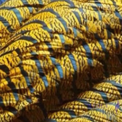 Multi-colour Lady Amherst Pheasant Tail Feather (80-90cm) Yellow / 1 Piece
