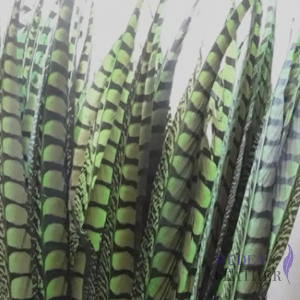 Multi-colour&sizes Natural Lady Amherst Pheasant Feather 20 cm / Green