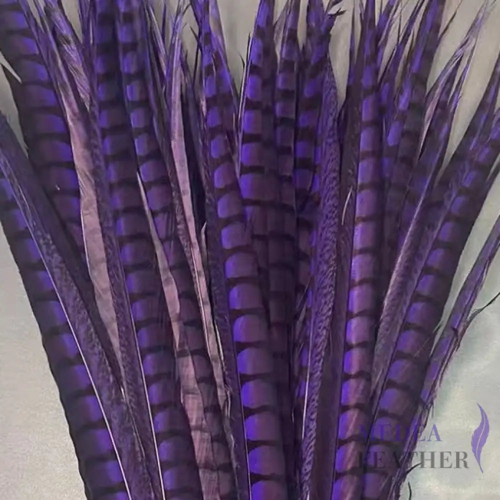 Multi-colour&sizes Natural Lady Amherst Pheasant Feather 20 cm / Purple
