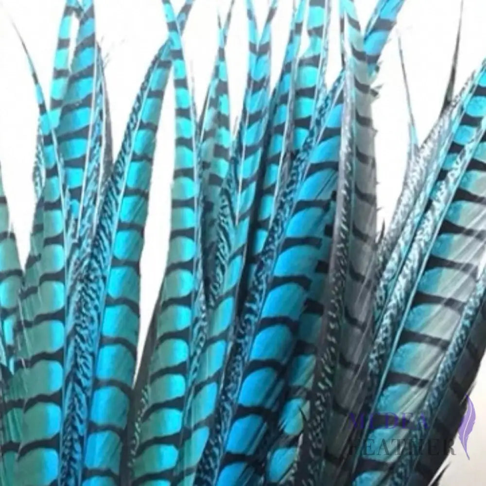 Multi-colour&sizes Natural Lady Amherst Pheasant Feather