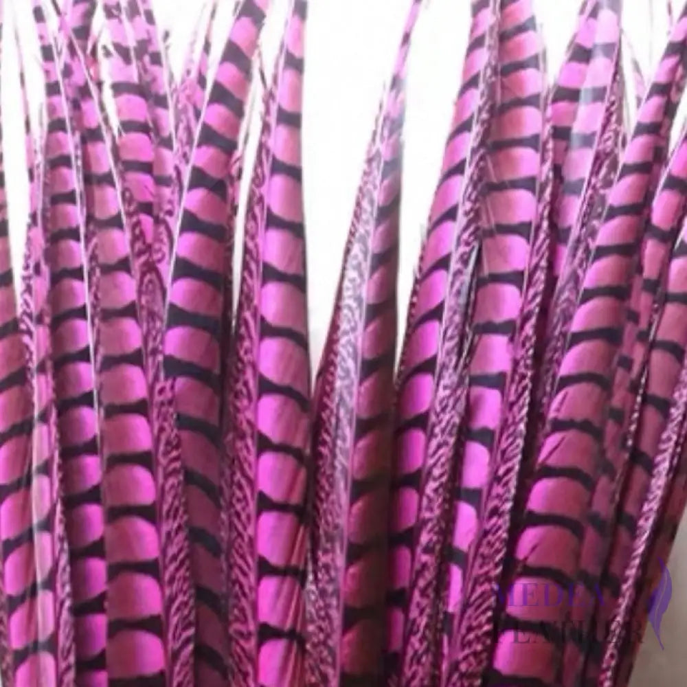 Multi-colour&sizes Natural Lady Amherst Pheasant Feather