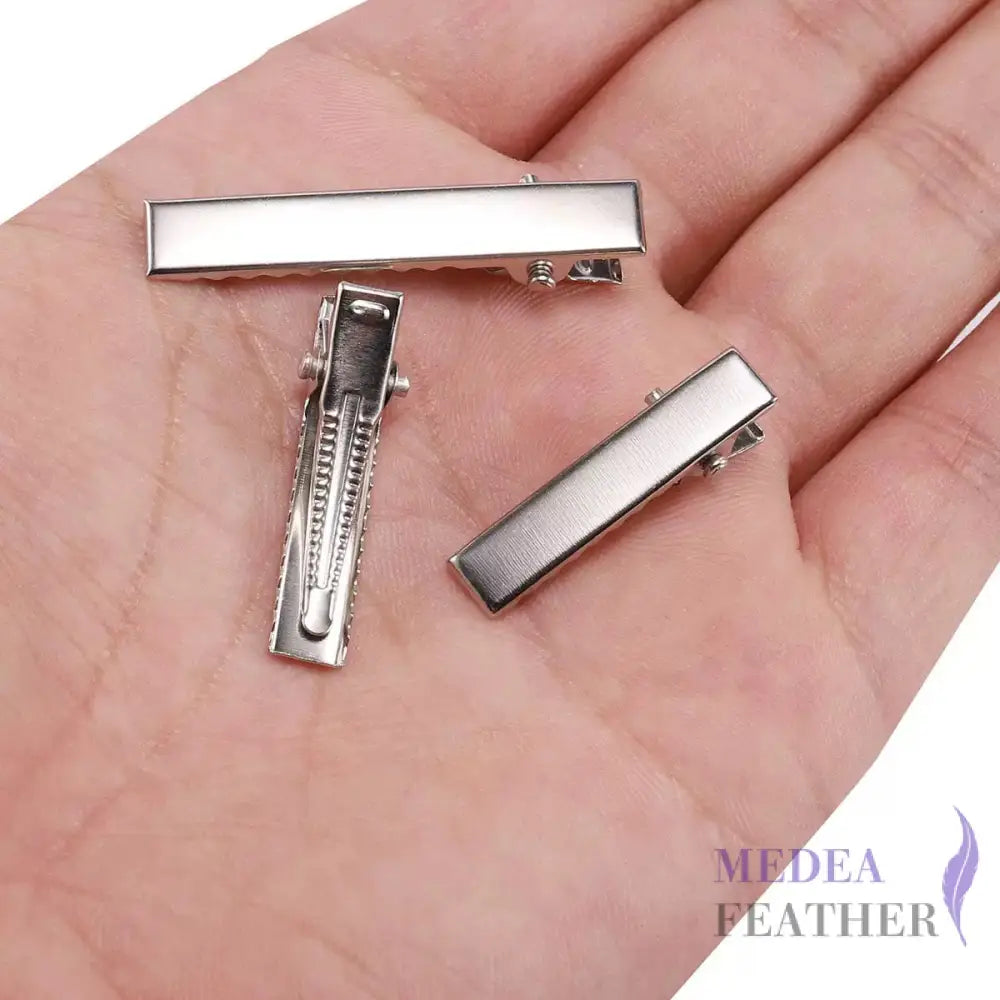Multi-size Metal Hair Clips-Pack of 10