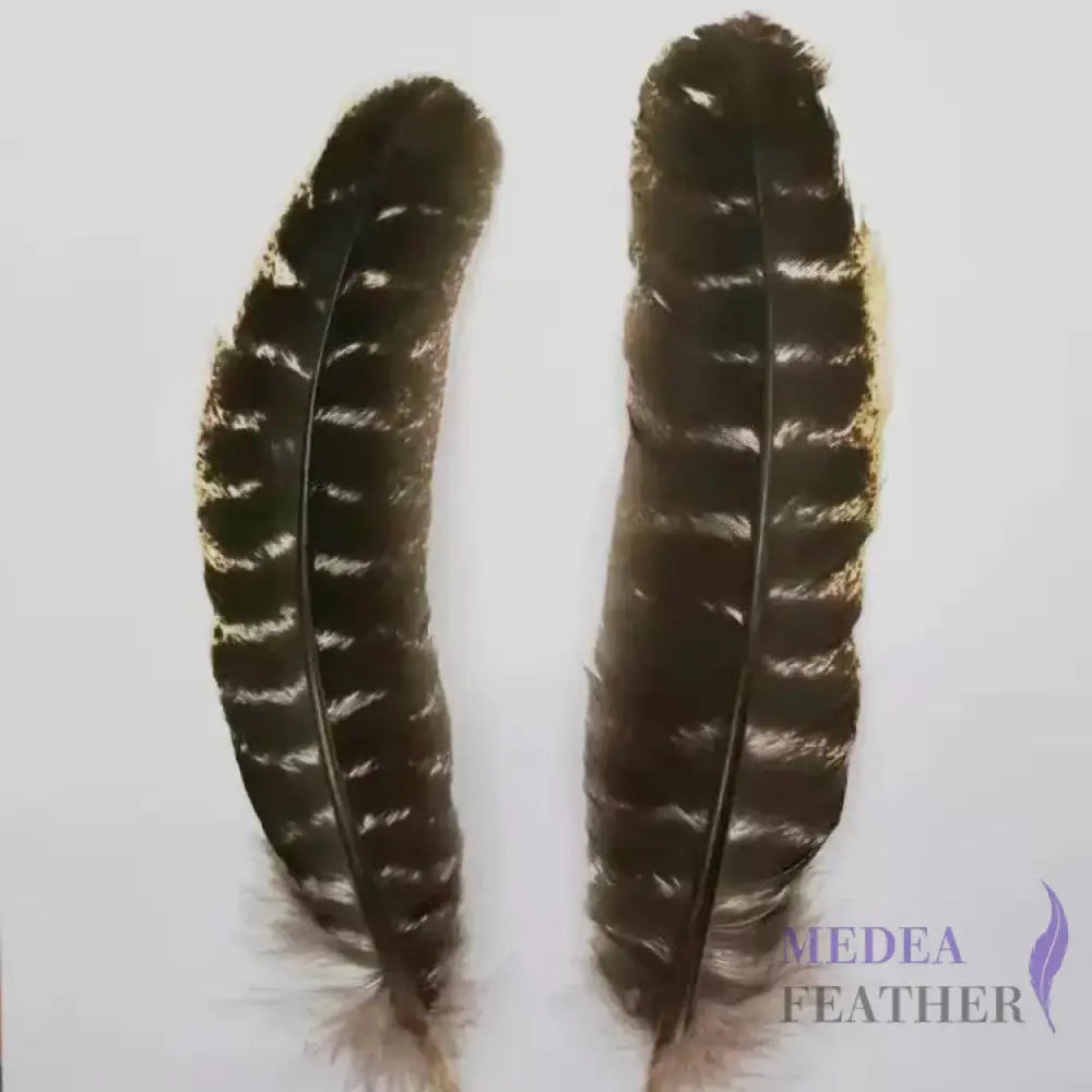 Natural Barred Turkey Pointer Feathers (1 Pack=10 pieces)