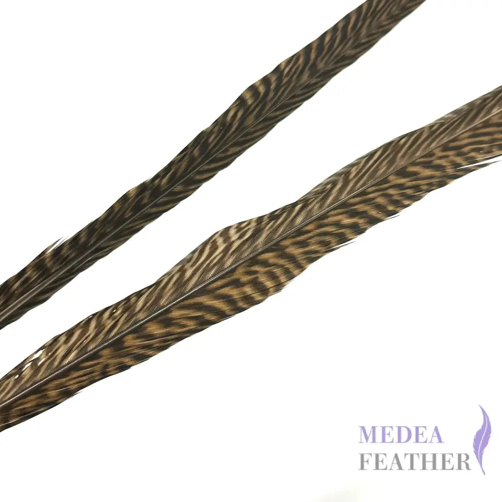 Natural Golden Pheasant Tail Feather
