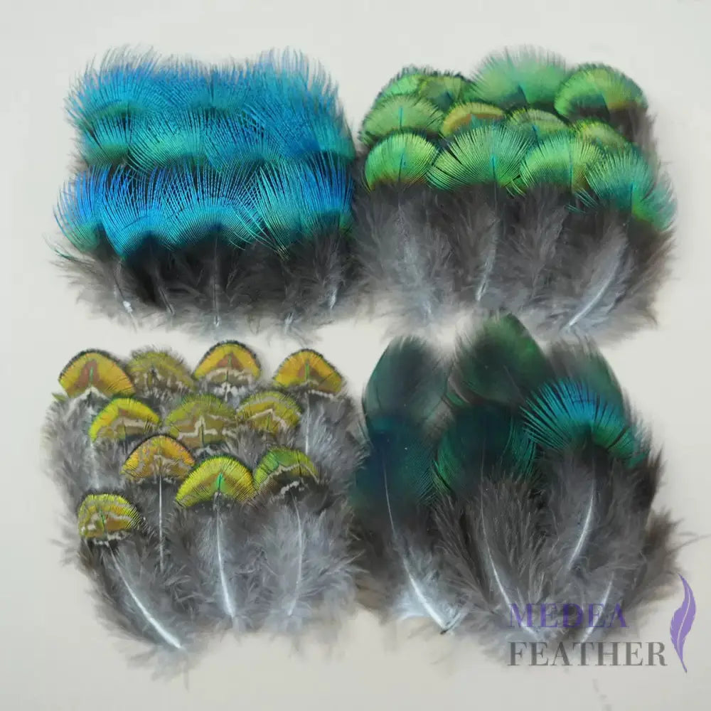 Natural Iridescent Peacock Plumage Feather-Pack of 100