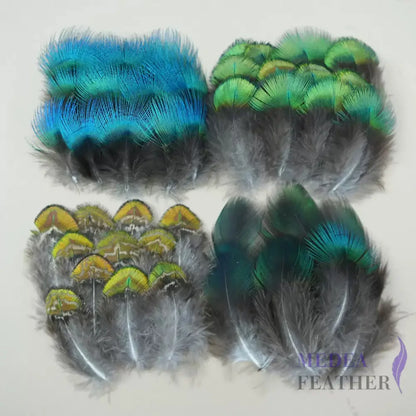 Natural Iridescent Peacock Plumage Feather-Pack of 100