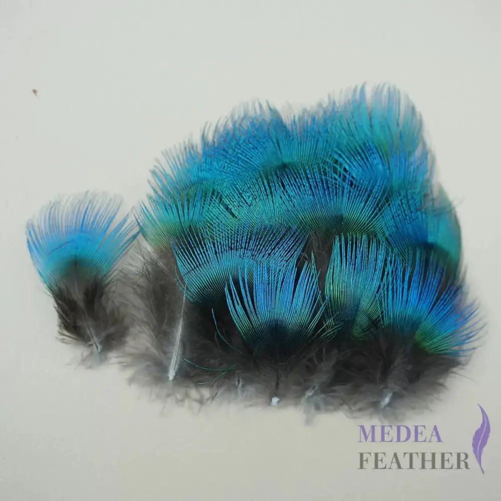 Natural Iridescent Peacock Plumage Feather-Pack of 100 - Natural Blue