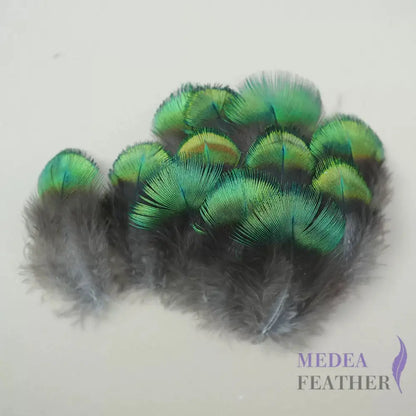 Natural Iridescent Peacock Plumage Feather-Pack of 100 - Natural Gold Green