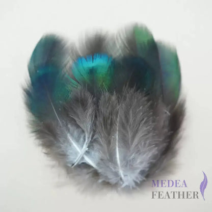 Natural Iridescent Peacock Plumage Feather-Pack of 100 - Natural Green