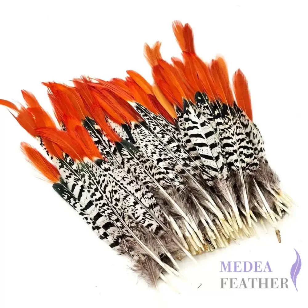Natural Copper Feathers Pheasant 25cm (1 pack=10 pieces) Natural