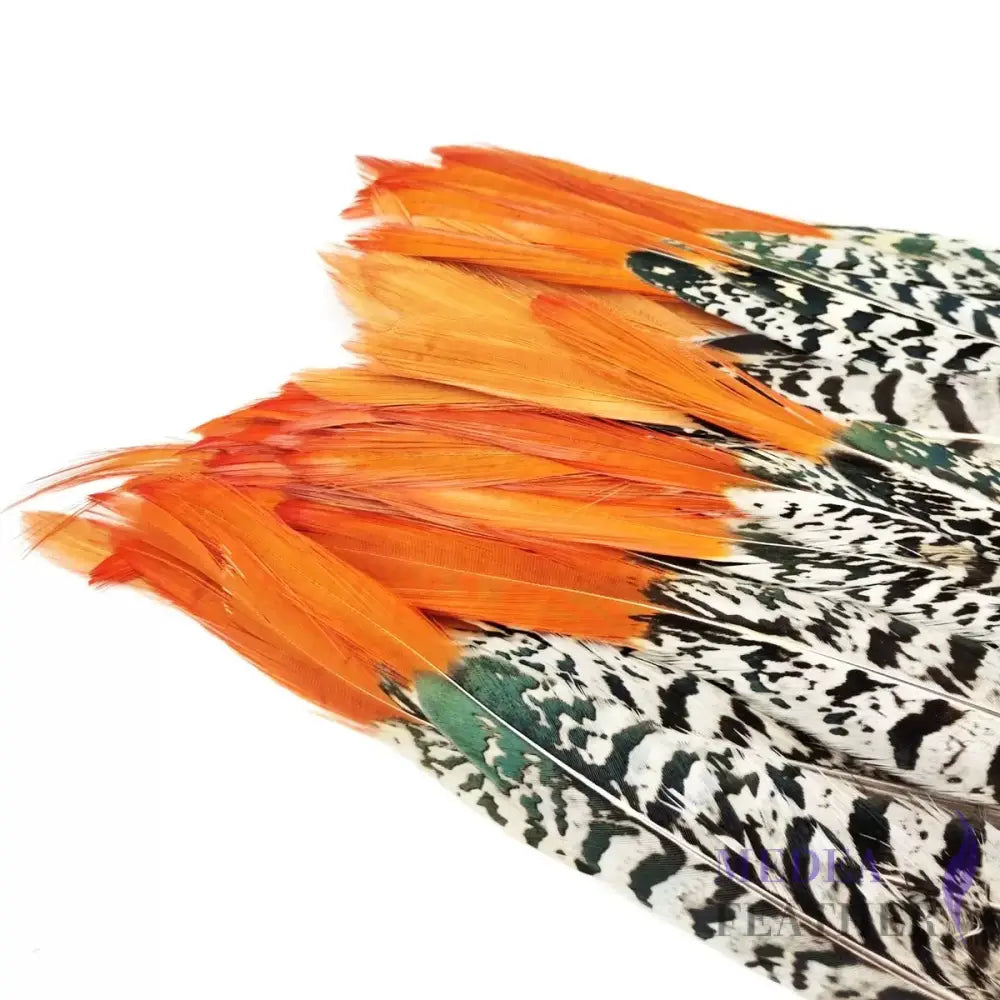 Natural Copper Feathers Pheasant 25cm (1 pack=10 pieces) Natural