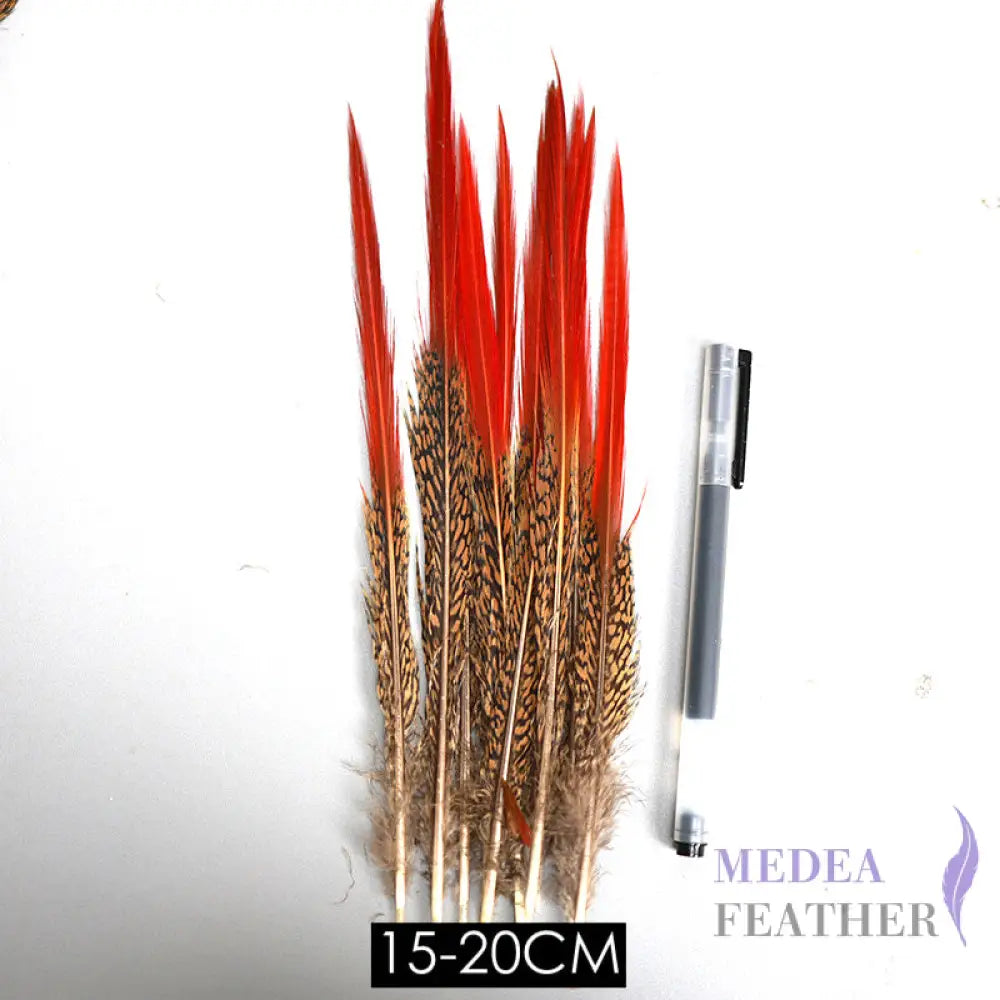 Natural Lady Amherst Pheasant Feathers Red Tip Knife SF023 15-20CM