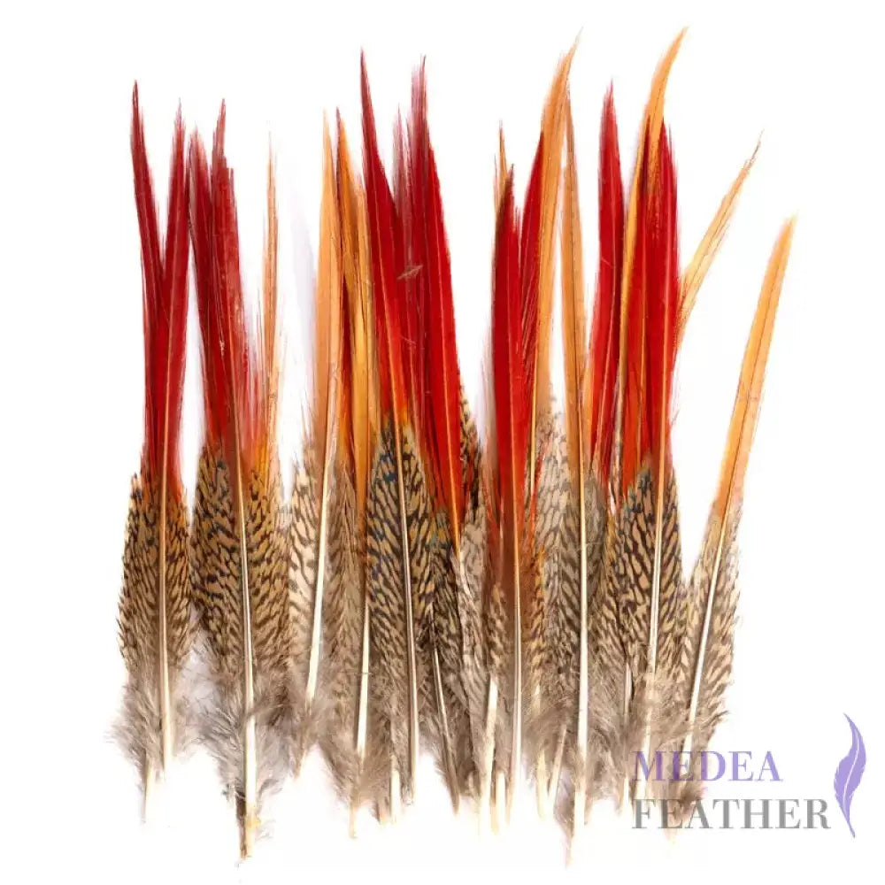 Natural Lady Amherst Pheasant Feathers Red Tip Knife SF023 20-25CM