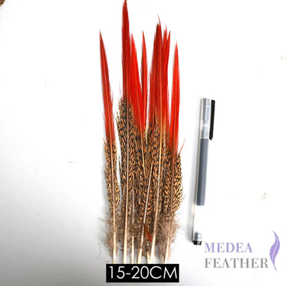 Natural Lady Amherst Pheasant Feathers Red Tip Knife SF023 15-20CM