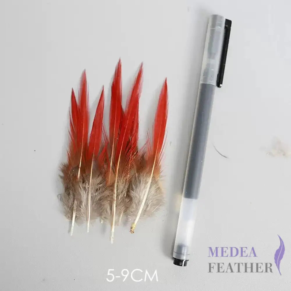Natural Lady Amherst Pheasant Feathers Red Tip Knife SF023 5-9 CM