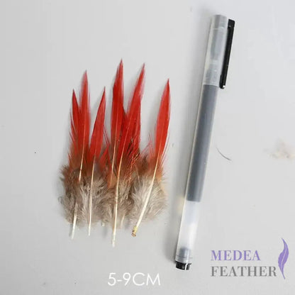 Natural Lady Amherst Pheasant Feathers Red Tip Knife SF023 5-9 CM