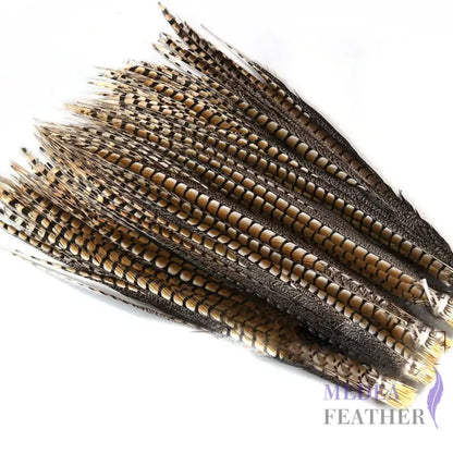 Multi-colour&sizes Natural Lady Amherst Pheasant Feather 20 cm / Natural