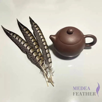 Multi-colour&sizes Natural Lady Amherst Pheasant Feather