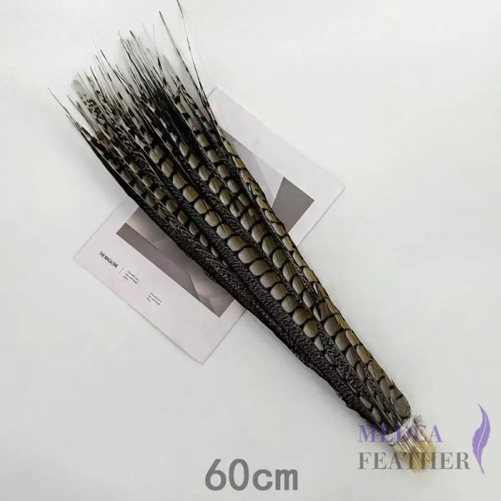 Multi-colour&sizes Natural Lady Amherst Pheasant Feather