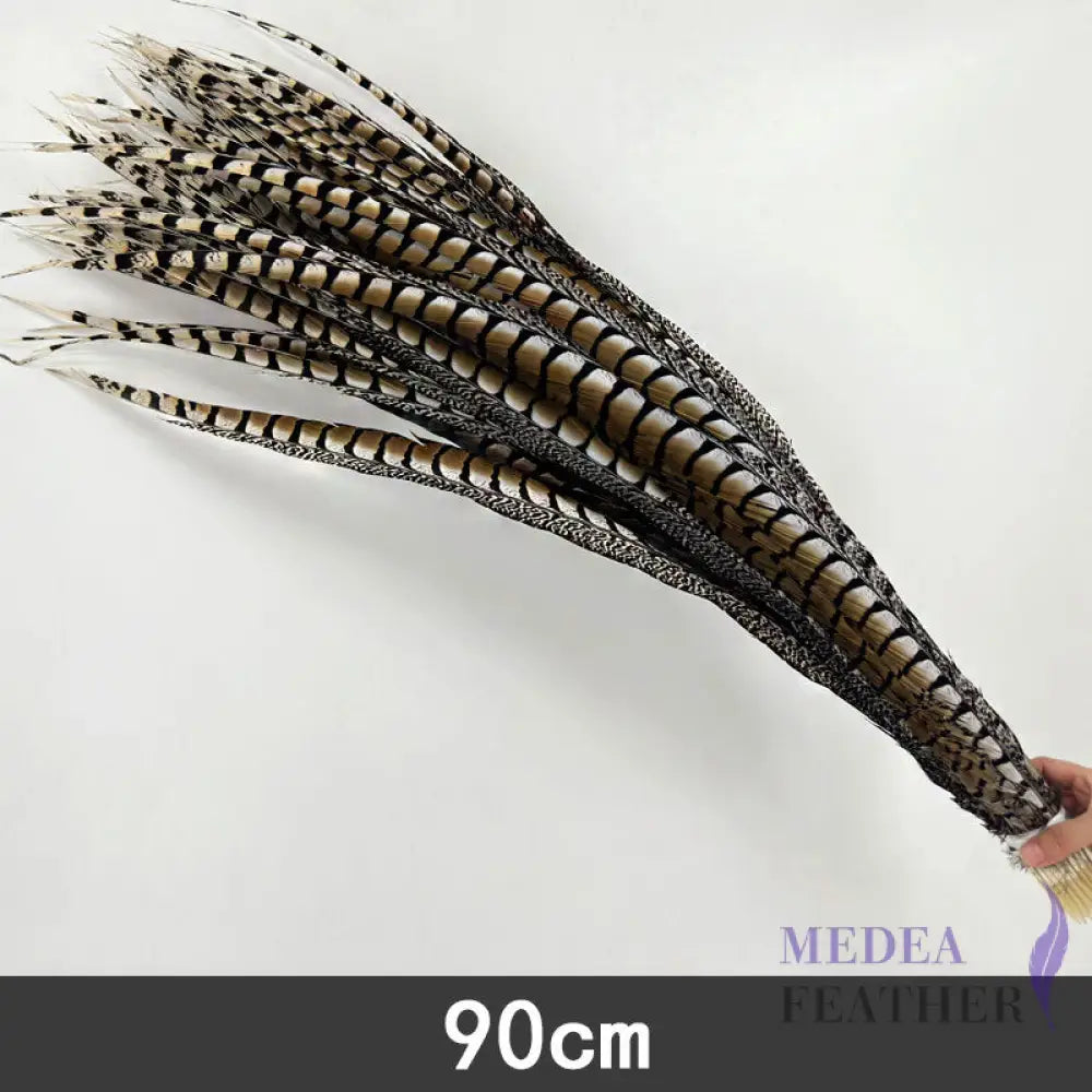 Multi-colour&sizes Natural Lady Amherst Pheasant Feather