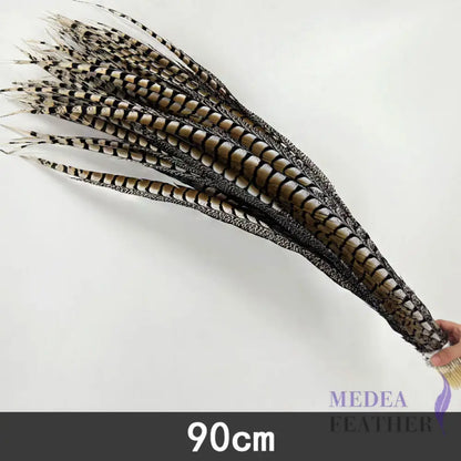 Multi-colour&sizes Natural Lady Amherst Pheasant Feather