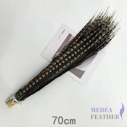 Multi-colour&sizes Natural Lady Amherst Pheasant Feather