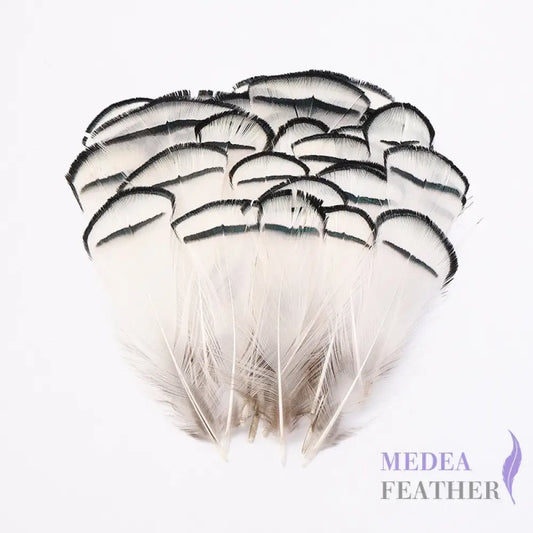 Natural White Lady Amherst Pheasant Tippet Feathers