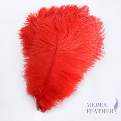 Ostrich Feather Plume 30-35cm SF013A #22 red