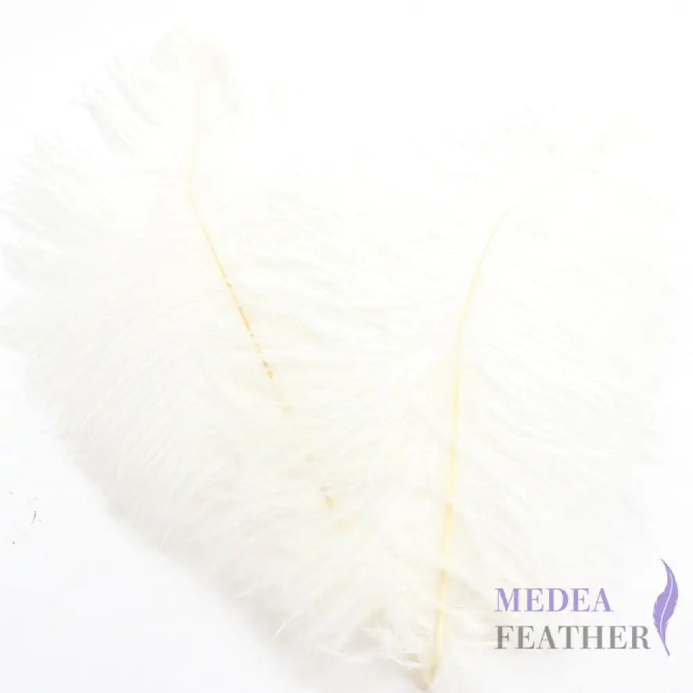 Ostrich Feather Plume 30-35cm SF013A #02 white