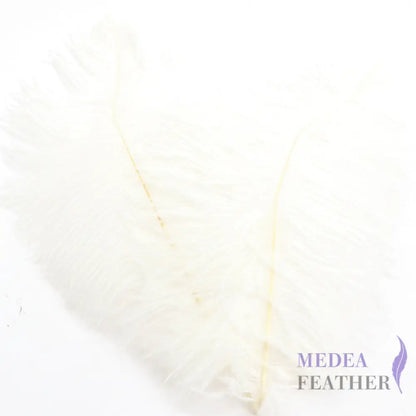 Ostrich Feather Plume 30-35cm SF013A #02 white
