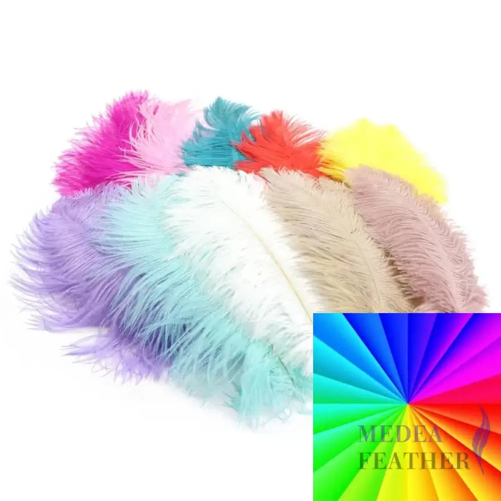 Ostrich Feather Plume 30-35cm SF013A Custom - Please add text below