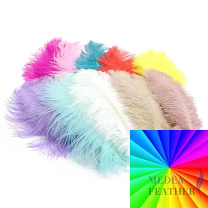 Ostrich Feather Plume 30-35cm SF013A Custom - Please add text below