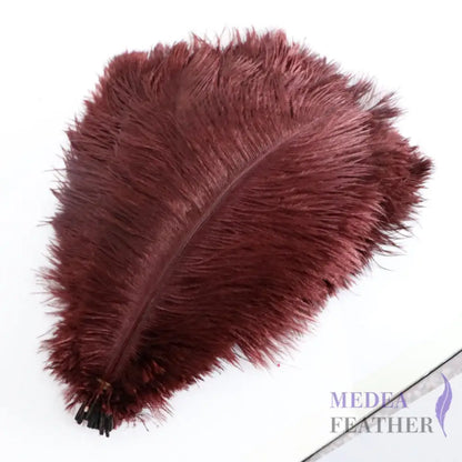 Ostrich Feather Plume 30-35cm SF013A #36 rohwurst