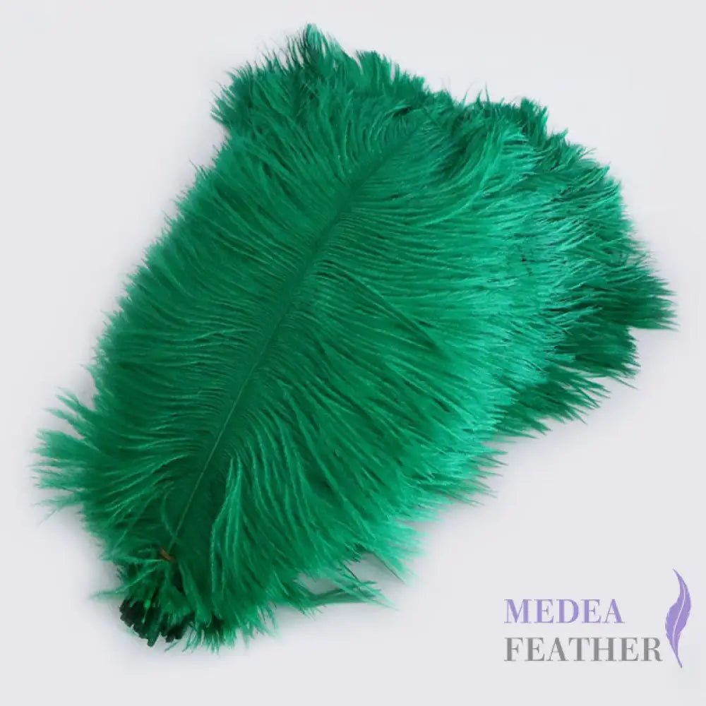 Ostrich Feather Plume 30-35cm SF013A #72 green