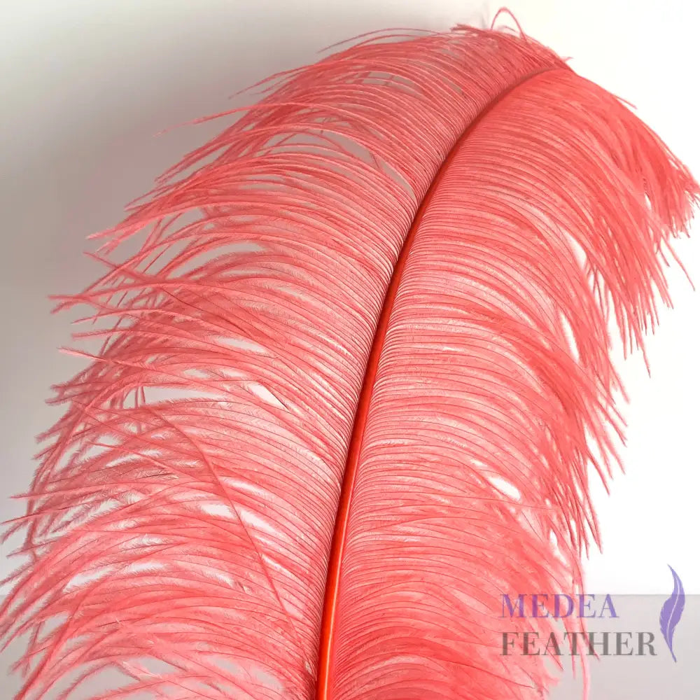 Ostrich Feather Plume 45-55cm