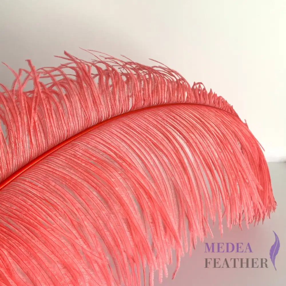Ostrich Feather Plume 45-55cm Coral / Large