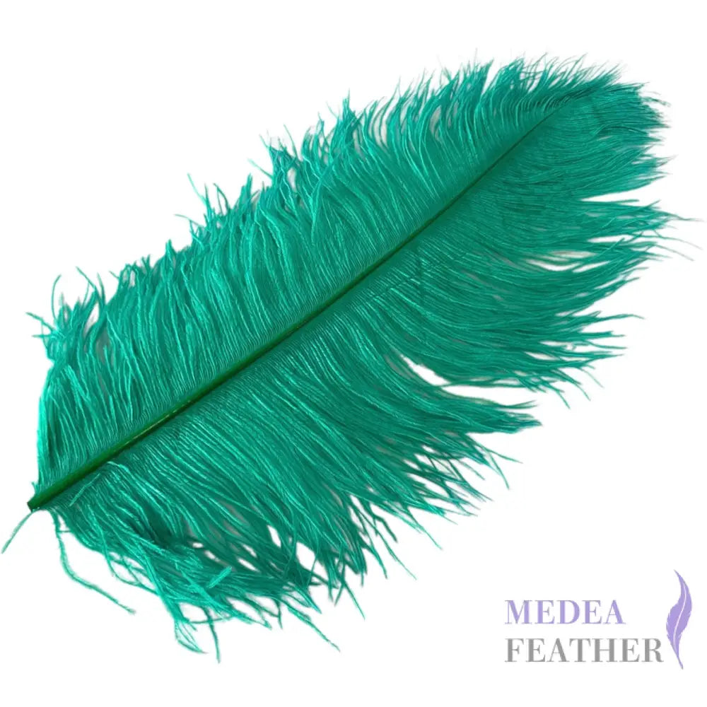 Ostrich Feather Plume 45-55cm Green / Large