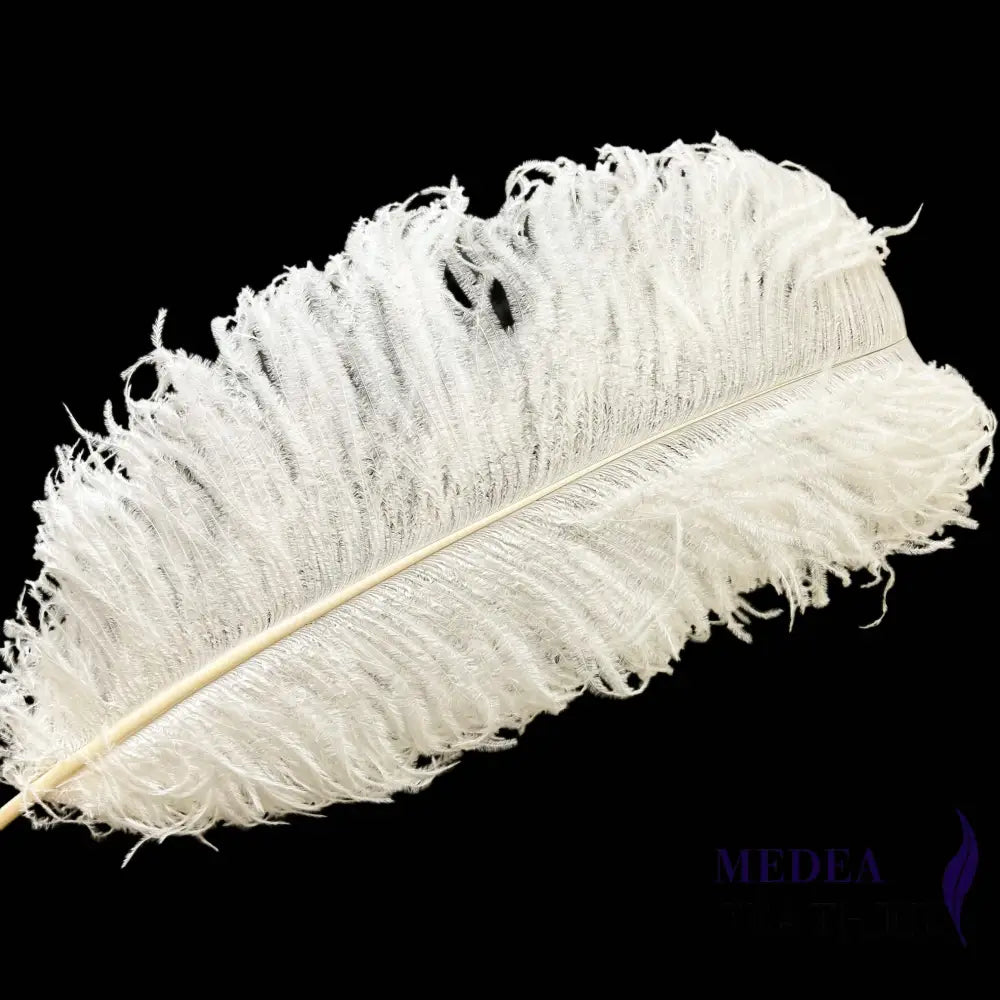 Ostrich Feather Plume 55-60cm - #01Ivory