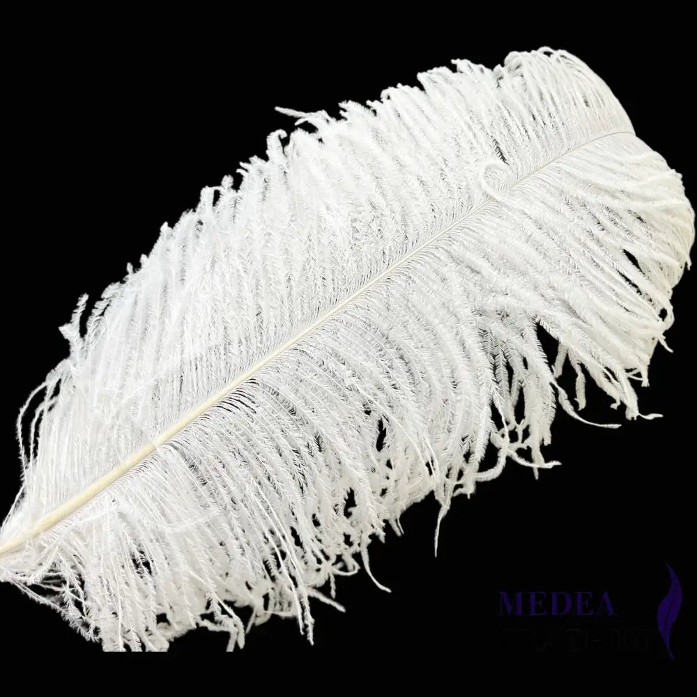 Ostrich Feather Plume 55-60cm - #02white