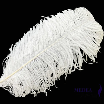 Ostrich Feather Plume 55-60cm - #02white