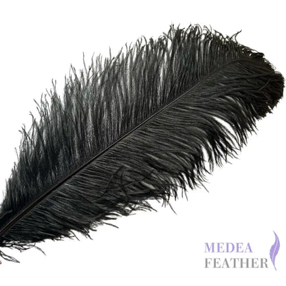 Ostrich Feather Plume 55-60cm - #03black